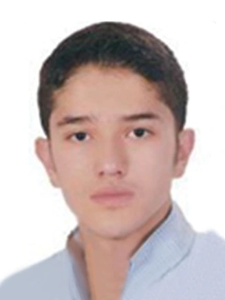 سید امیر احسان میری
