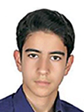 امیر حسین استقامت