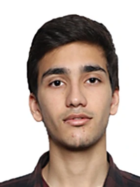 پارسا امینی