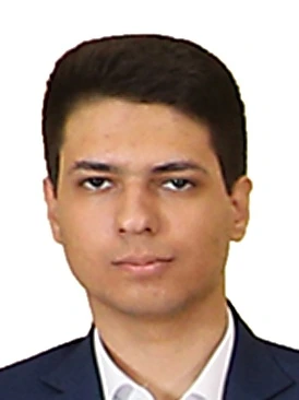 سید مهدی زارع زاده