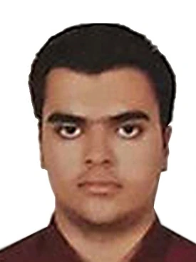محراب شادی دیزناب