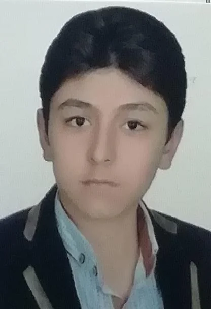 علی شیخی