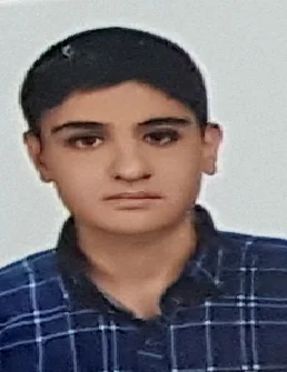محمدمهدی صادقی