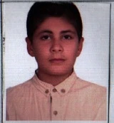 رضا دانشی