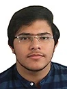 نیما ابوالحسنی