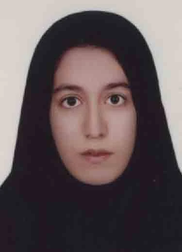 ستایش نظری