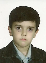 امیرمحمد حمیدی