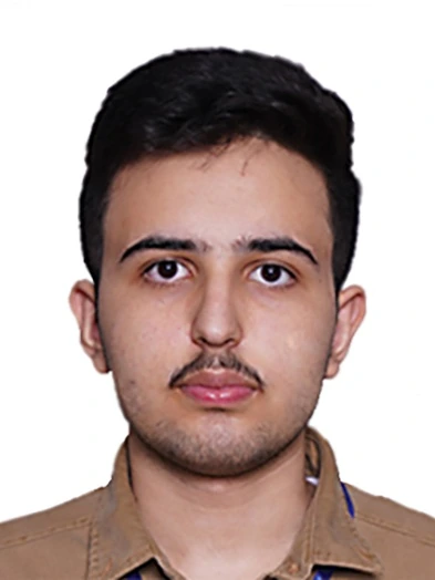 امیرحسین مردی زرنقی