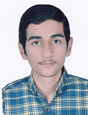 علی زیبا
