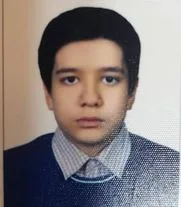 محمدامین چینی فروش