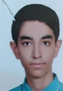 سینا فعالیت