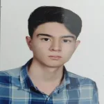 مهدی عربی