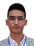 محمدمهدی اسلامی زارچی