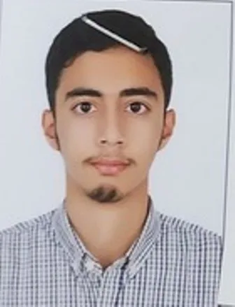 امیر حسین قرقانی